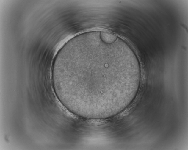X0000103950910200810311546