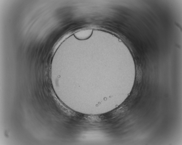 X0000103950911200810311546