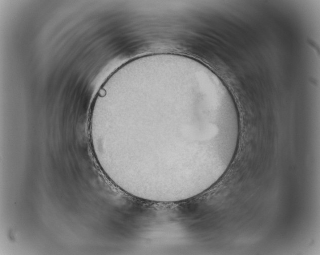 X0000103950912200810311546