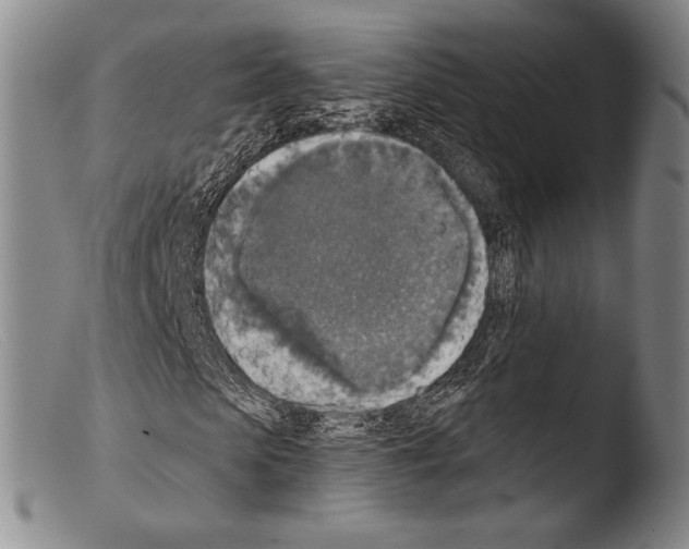 X0000103950913200810311545