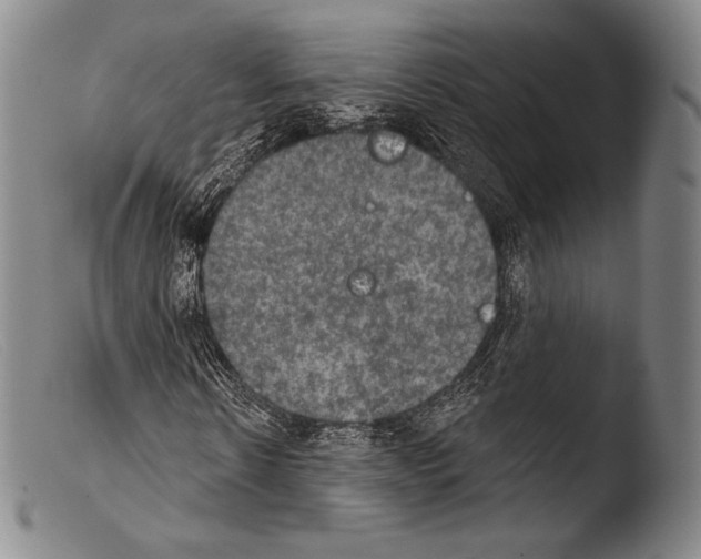 X0000103950914200810311545