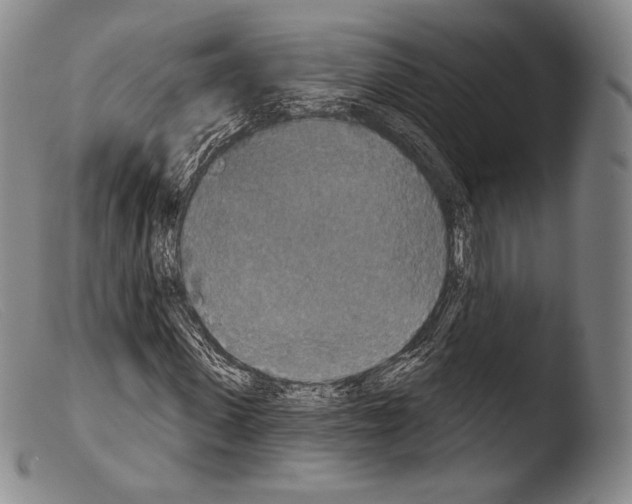 X0000103950915200810311545