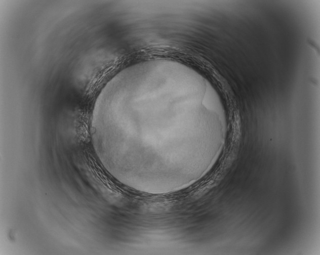 X0000103950916200810311545