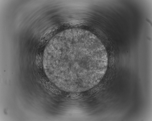 X0000103950917200810311545