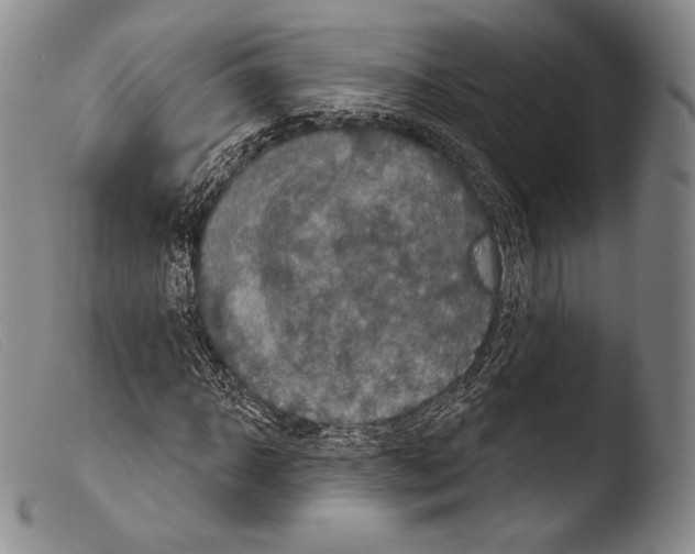 X0000103950918200810311545