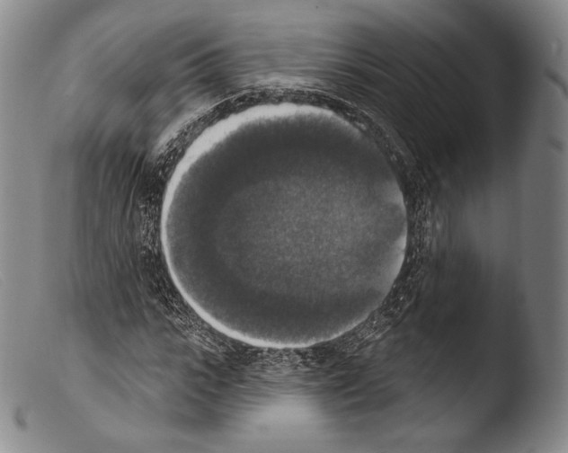 X0000103950919200810311545