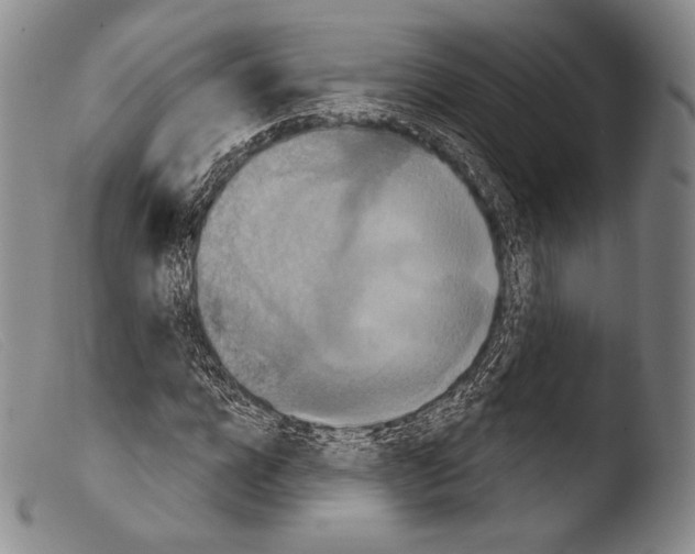 X0000103950920200810311545