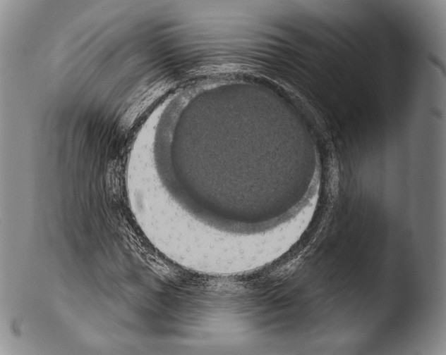 X0000103950921200810311545