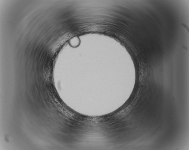 X0000103950922200810311545