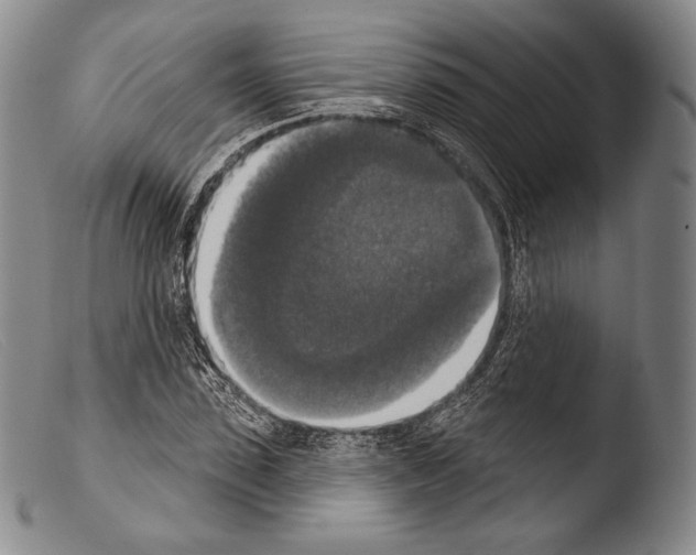 X0000103950923200810311545