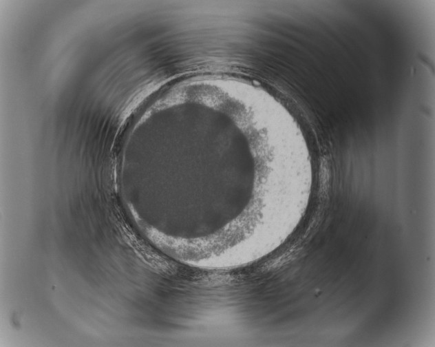 X0000103950925200810311545