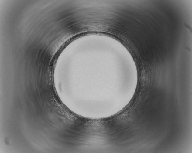 X0000103950926200810311545