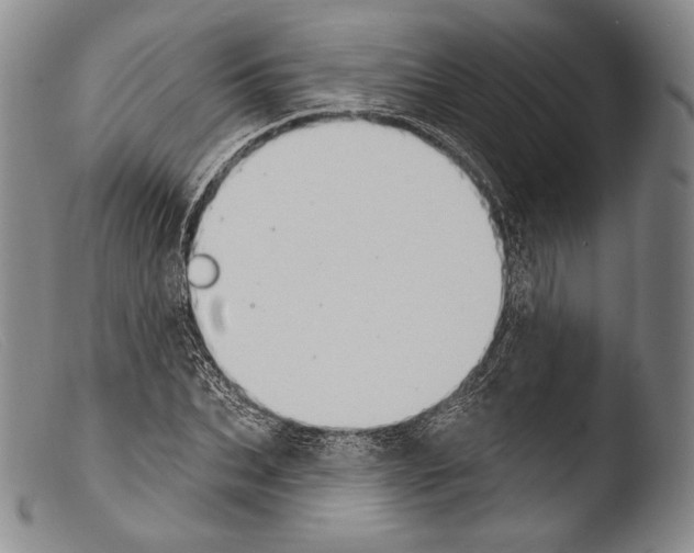 X0000103950927200810311545