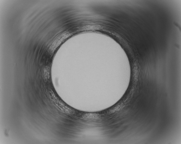 X0000103950929200810311545