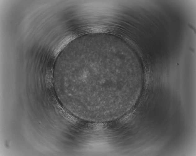 X0000103950930200810311545
