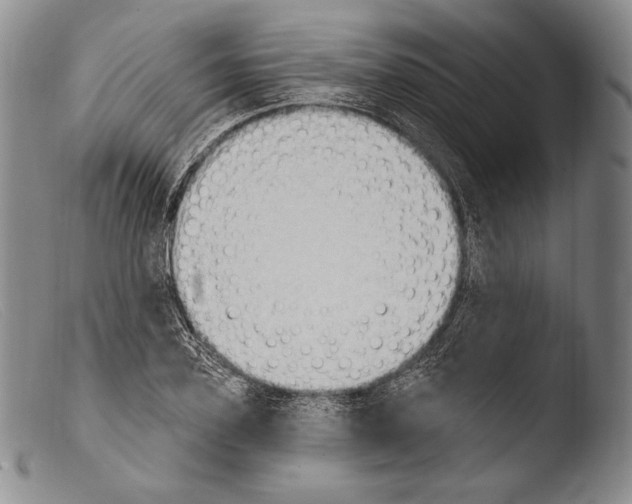 X0000103950931200810311545