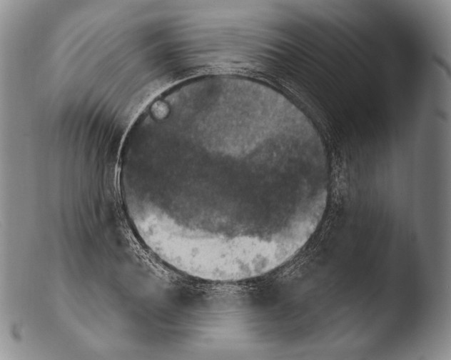X0000103950932200810311546
