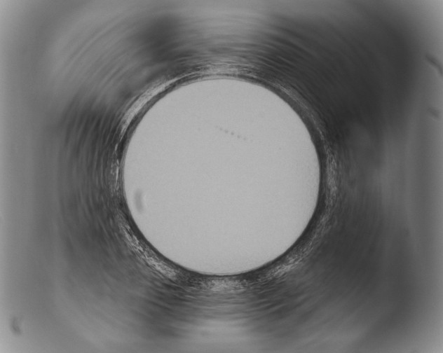 X0000103950933200810311546