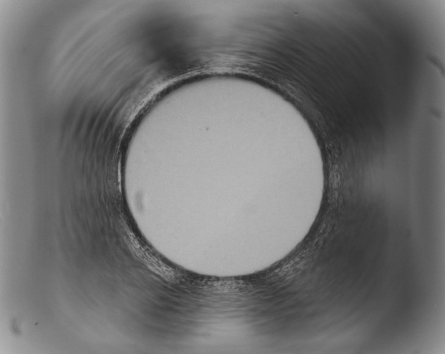 X0000103950934200810311546