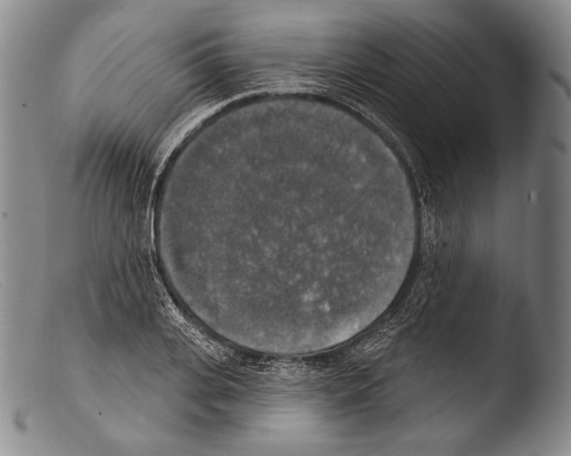 X0000103950935200810311546