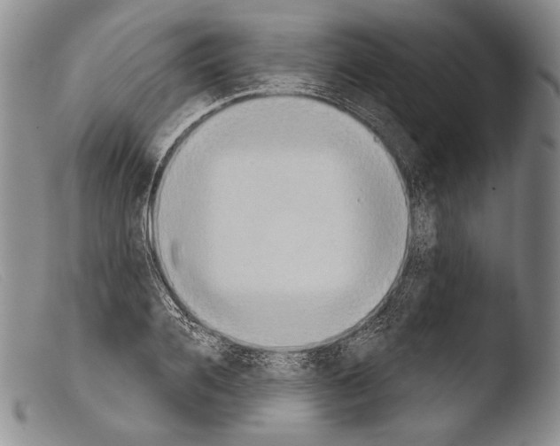 X0000103950936200810311546