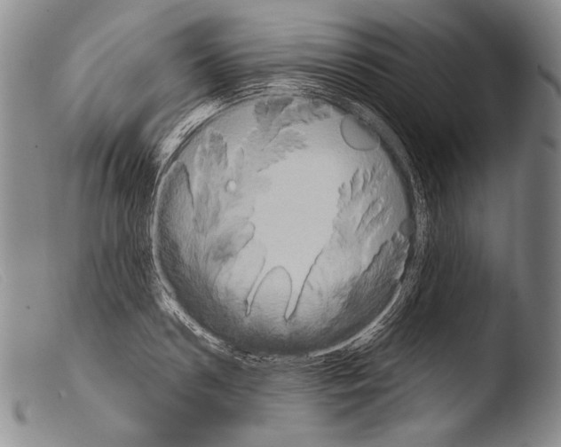 X0000103950938200810311546