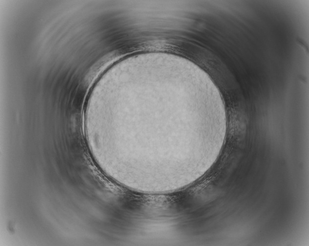 X0000103950940200810311546