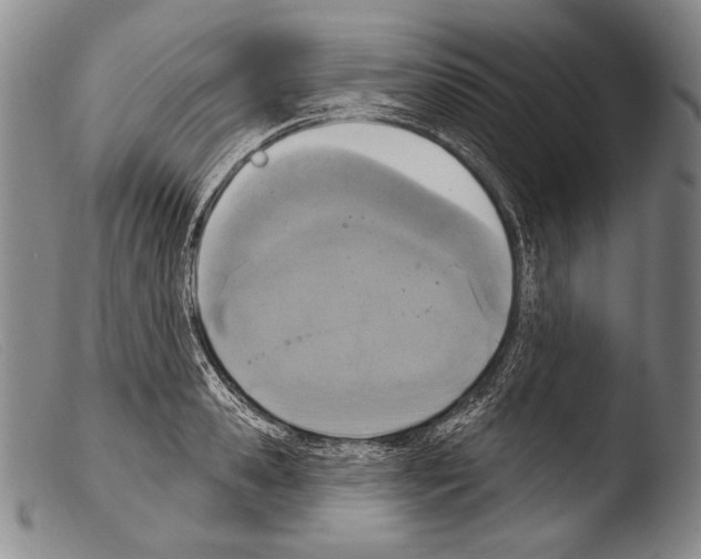 X0000103950941200810311546