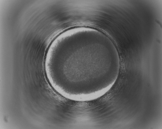 X0000103950943200810311546