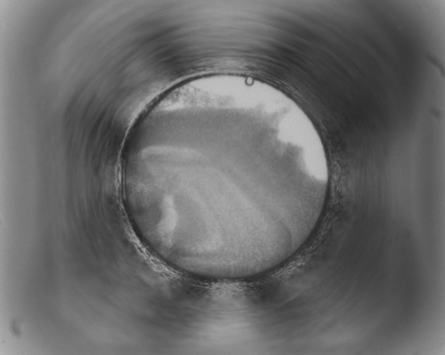 X0000103950944200810311546