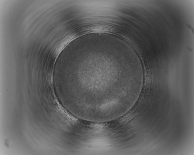 X0000103950946200810311546