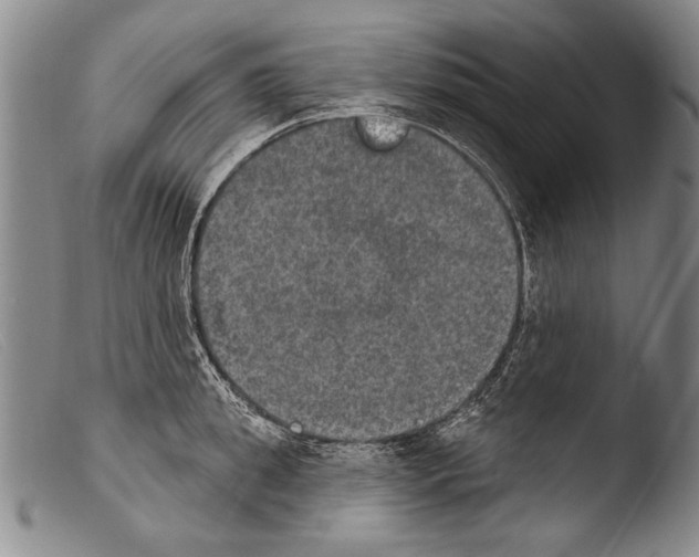 X0000103950949200810311546