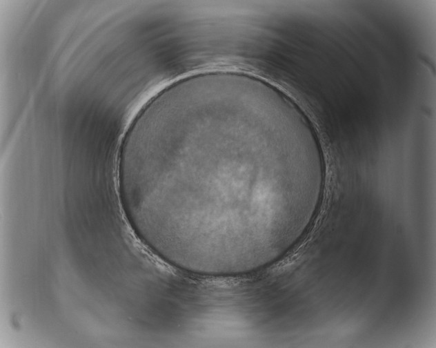 X0000103950950200810311546