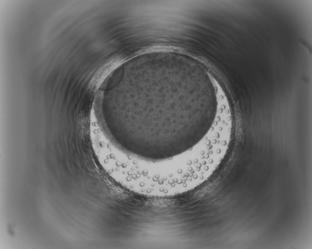 X0000103950953200810311546
