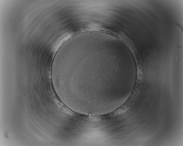X0000103950954200810311546