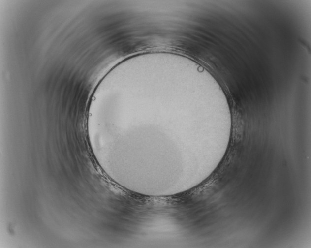 X0000103950956200810311546