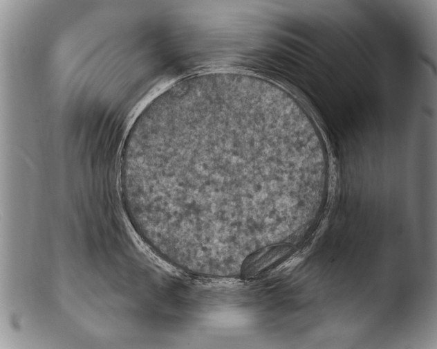 X0000103950957200810311546