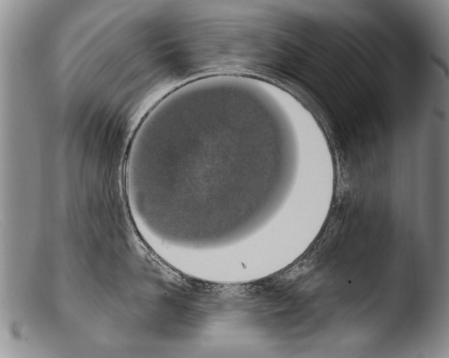 X0000103950958200810311546