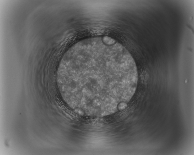 X0000103950961200810311545