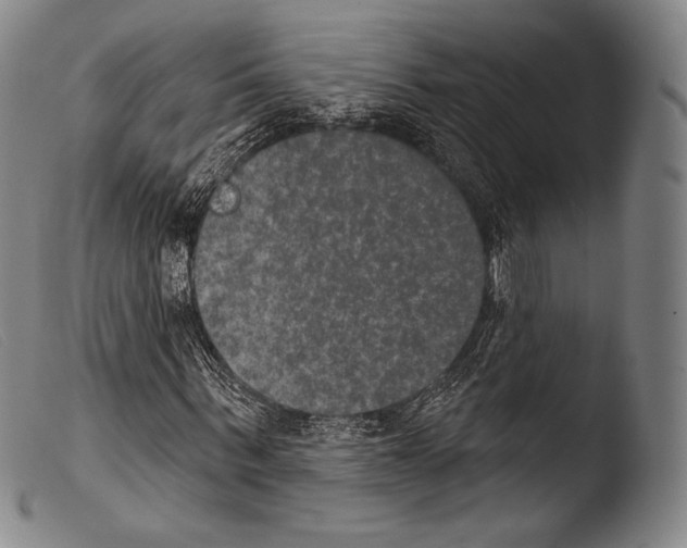 X0000103950963200810311545