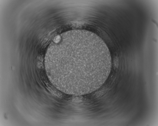 X0000103950964200810311545