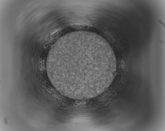 X0000103950965200810311545