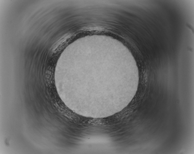 X0000103950967200810311545