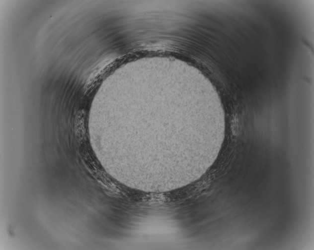 X0000103950968200810311545