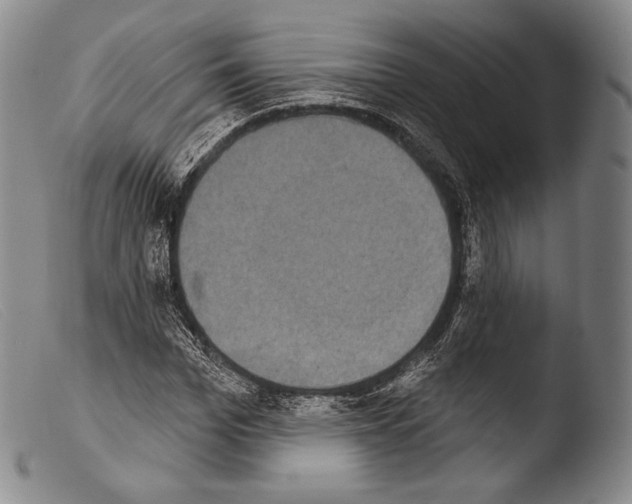 X0000103950969200810311545