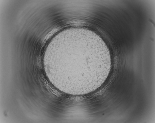 X0000103950970200810311545