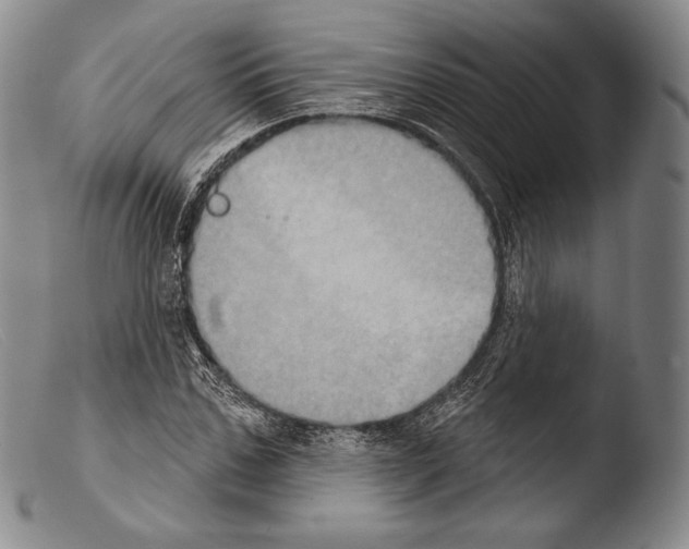 X0000103950971200810311545