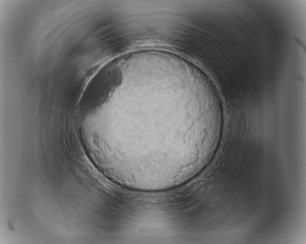 X0000103950972200810311545