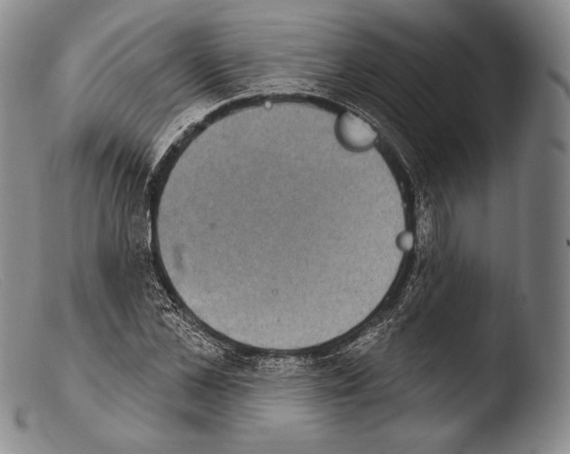 X0000103950973200810311545