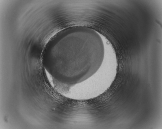X0000103950975200810311545